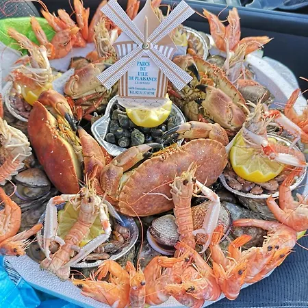 Cap Horn Ensoleille Face Port