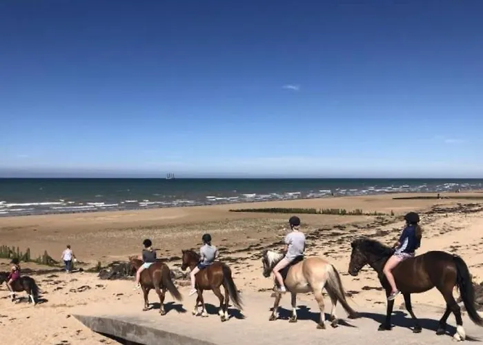 Cap Horn Ensoleille Face Port דירה